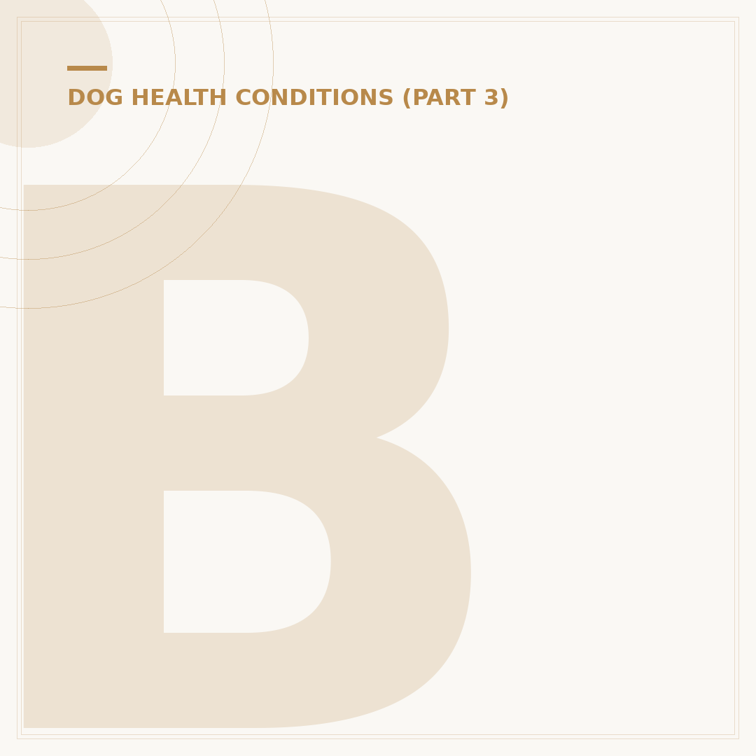 Blepharitis in Dogs: Causes, Signs & Management