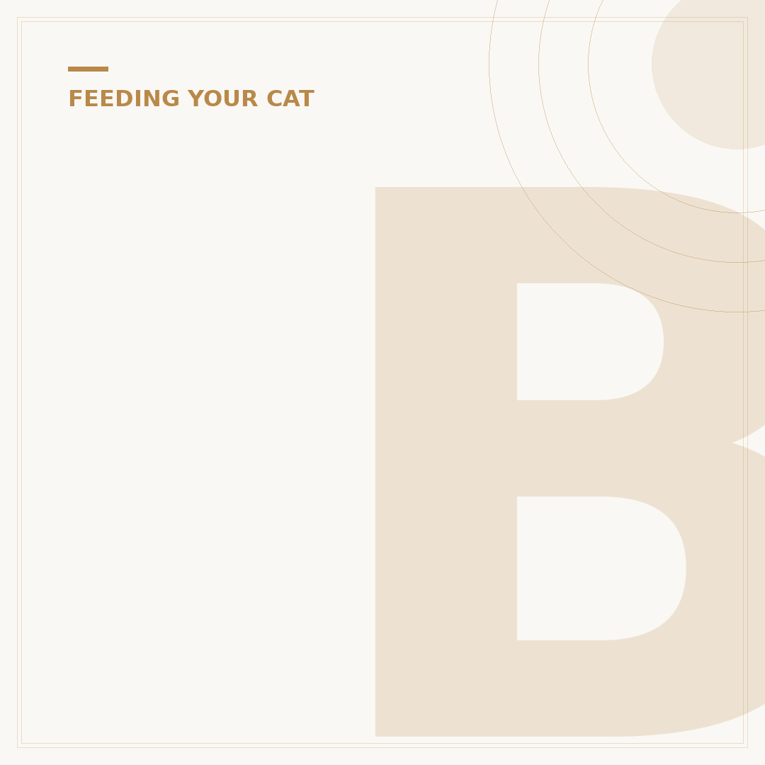 Blink Kitten Food: Nutritional Needs Explained