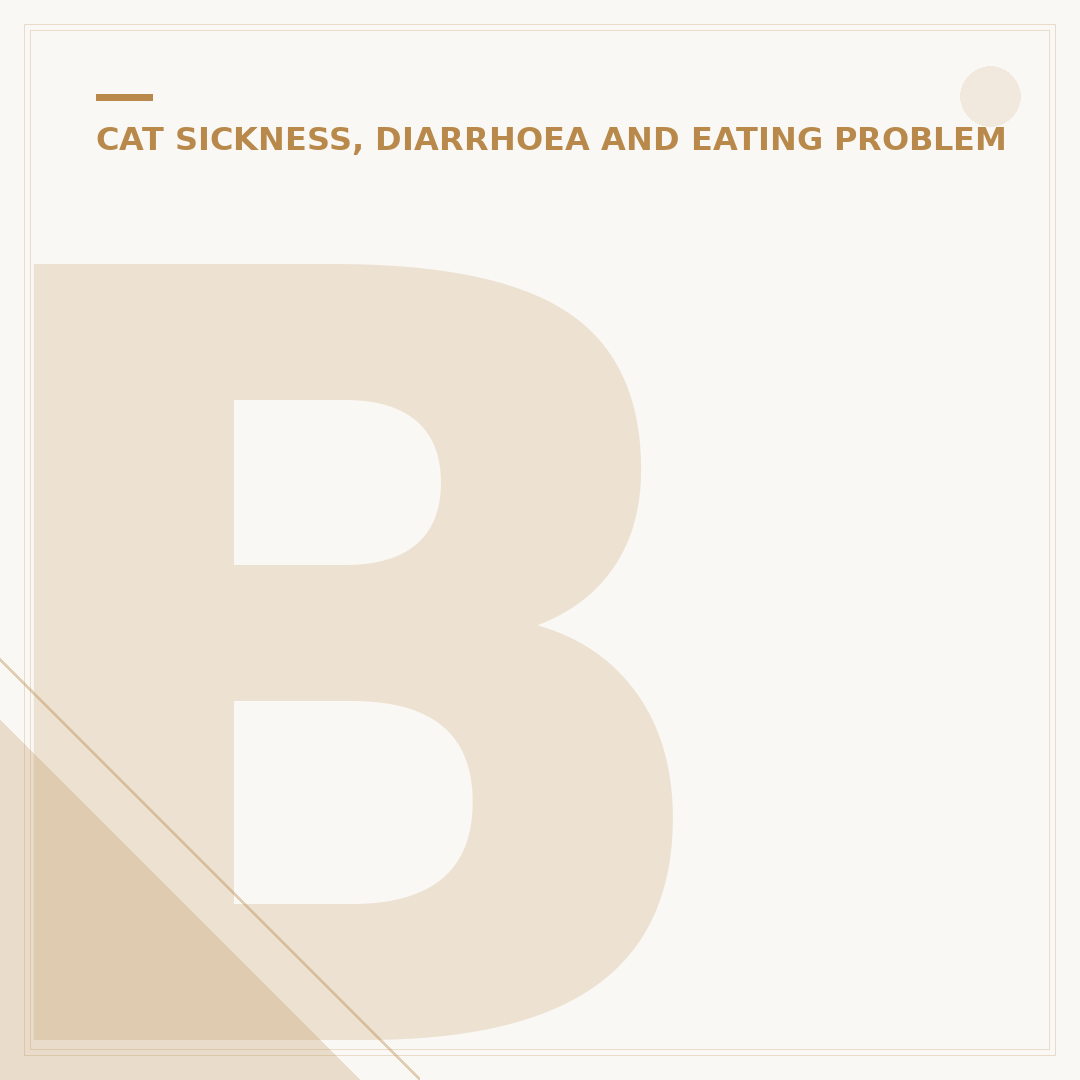 Blood in Kittens Poop: Causes and What to Do