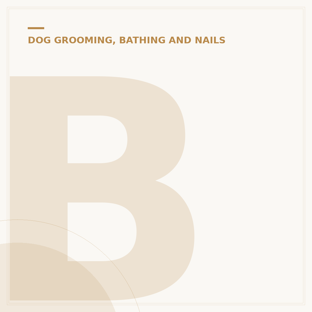 Bloody Dog Nails: First Aid & When to Seek Help