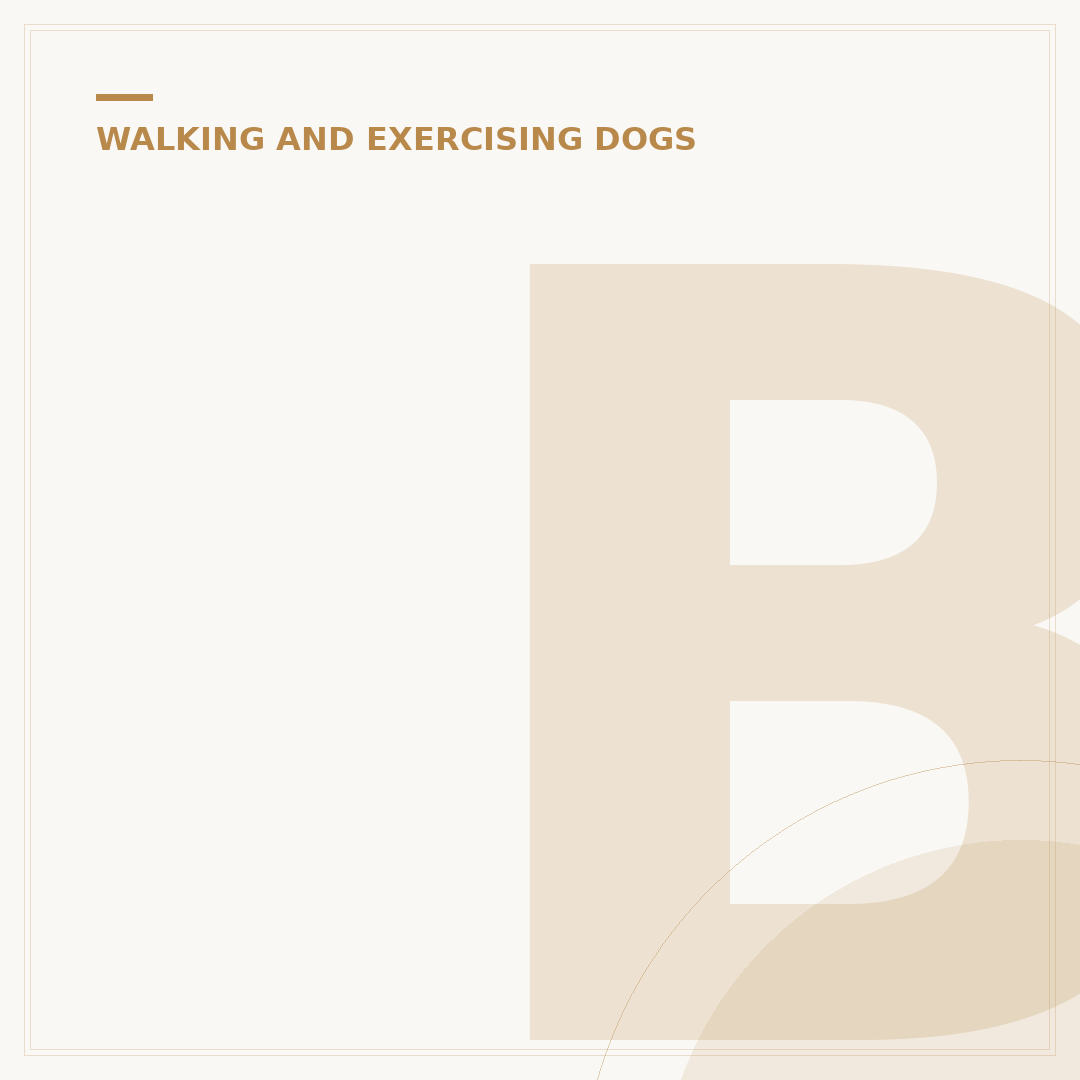 Boarding for Dogs: What to Know Before You Book
