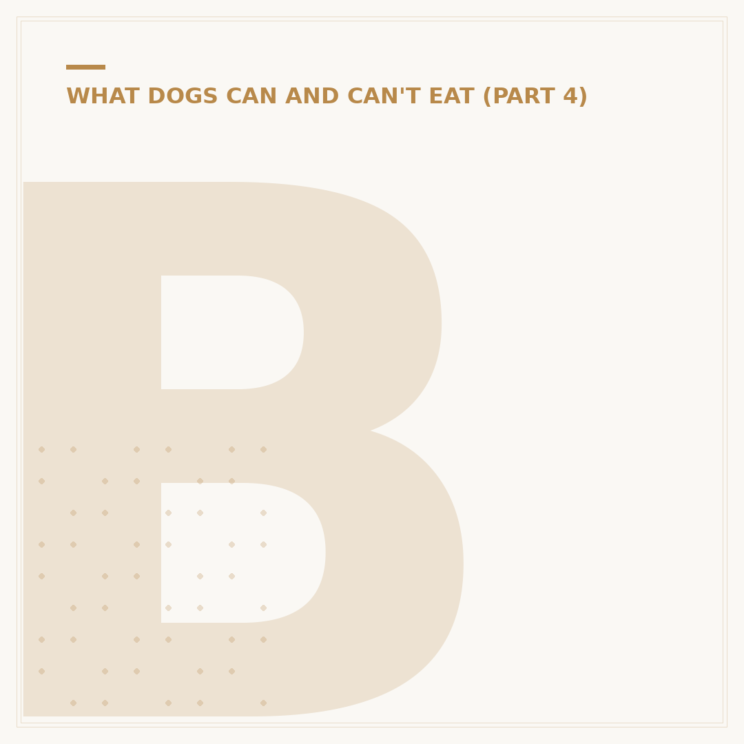 Boiled Chicken for Dogs: Preparation & Benefits