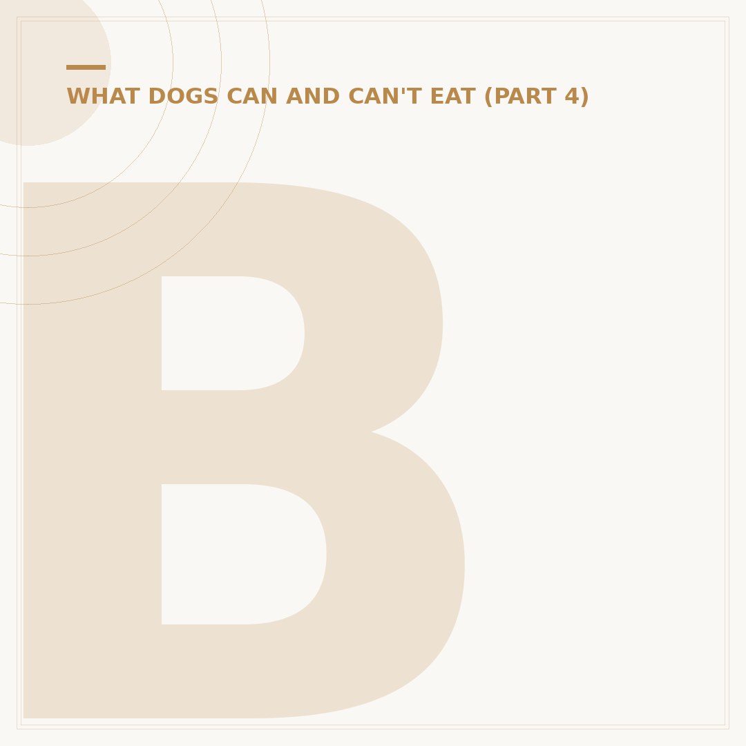 Bone Broth Powder for Dogs: Benefits and Usage