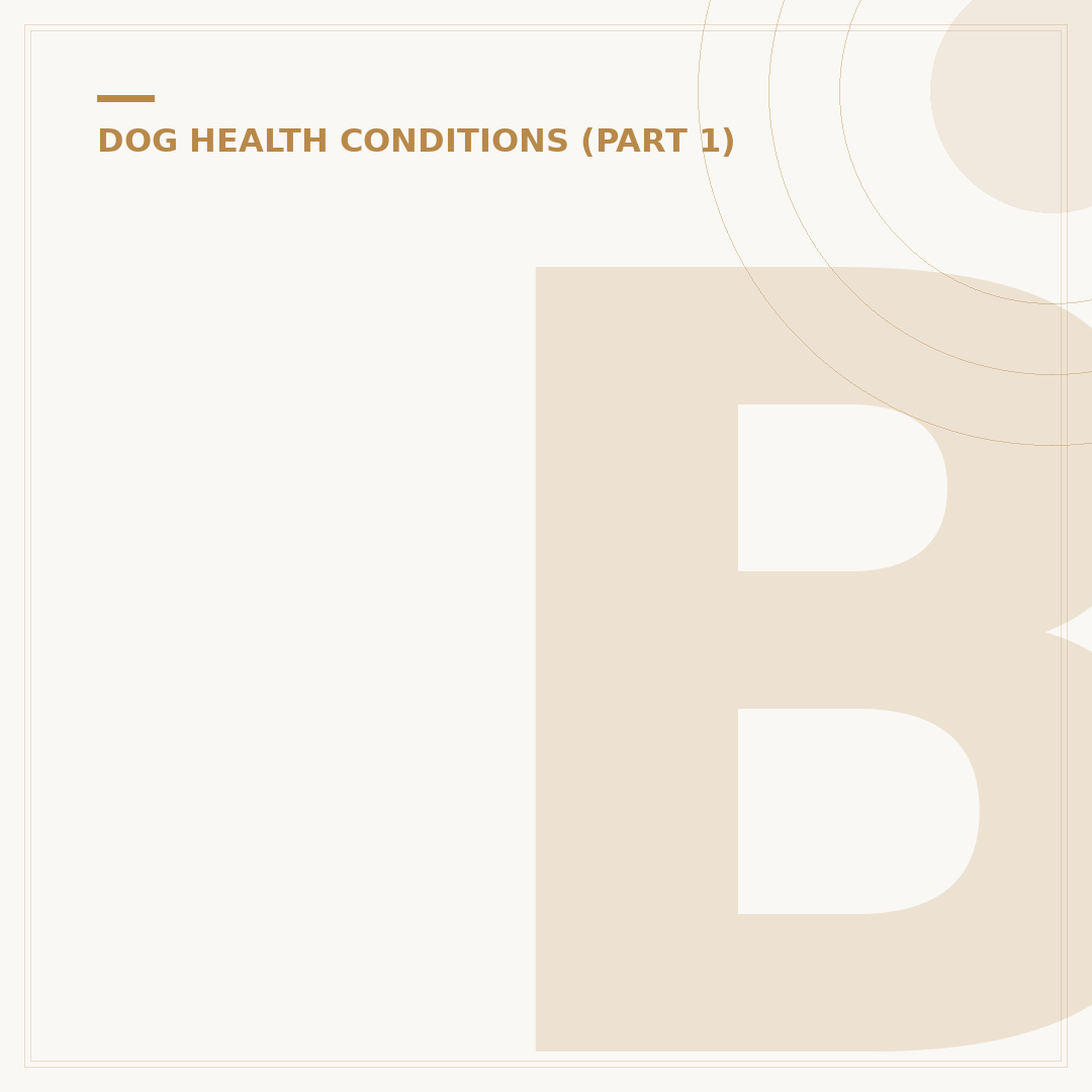 Bone Cancer in Dogs: What You Need to Know