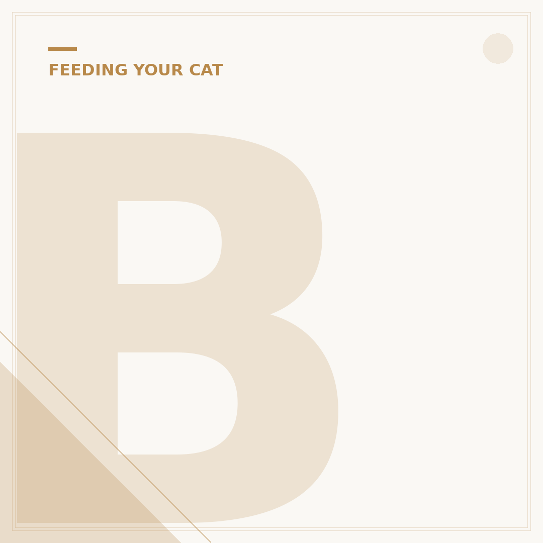 Bonkers Cat Treats: Why Felines Go Wild