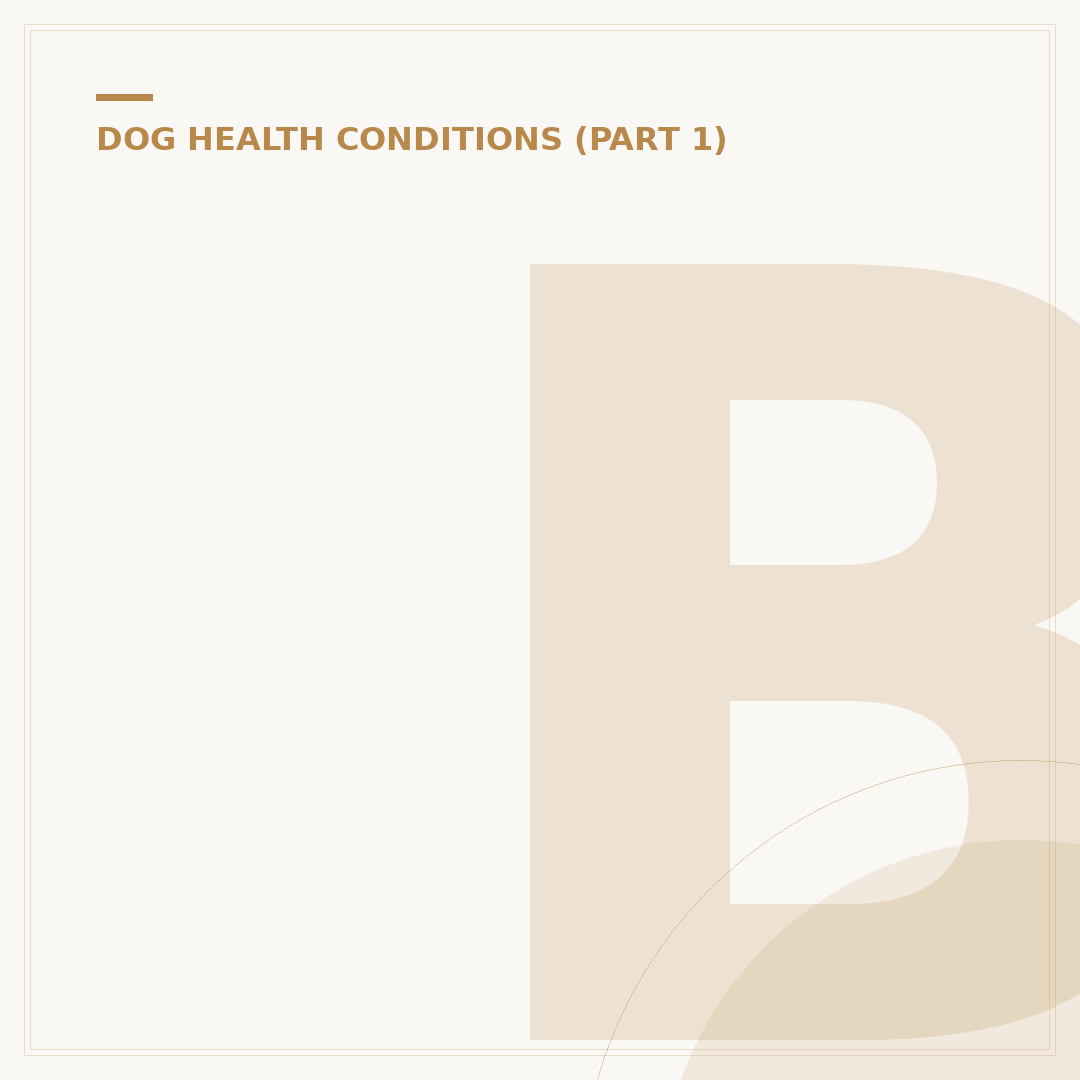 Borreliosis in Dogs: Signs, Causes & Prevention