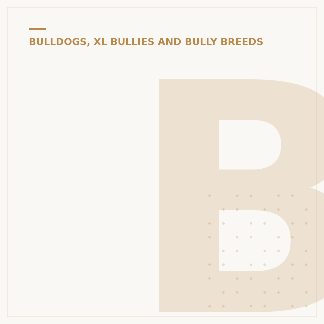Boston Bulldog vs French Bulldog: Key Differences