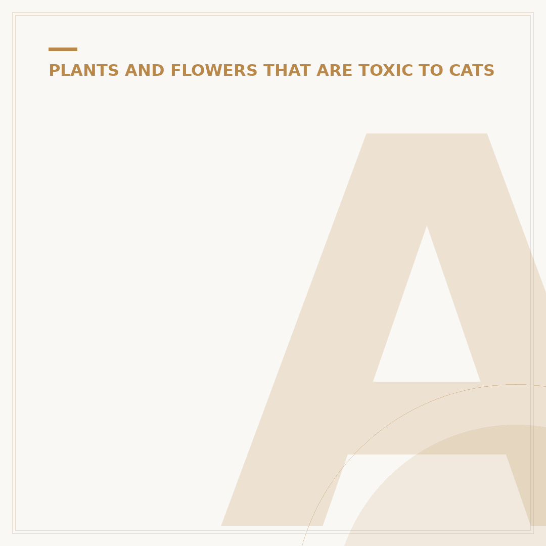 Are Boston Ferns Toxic to Cats?