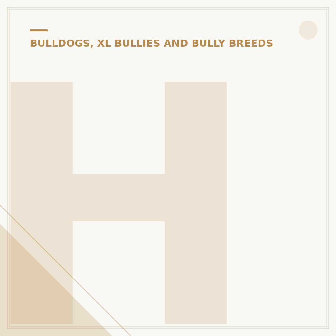 How Old Do Boxer Dogs Live? Lifespan Factors Explained