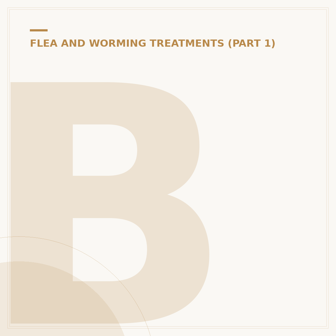 Bravecto Flea Meds