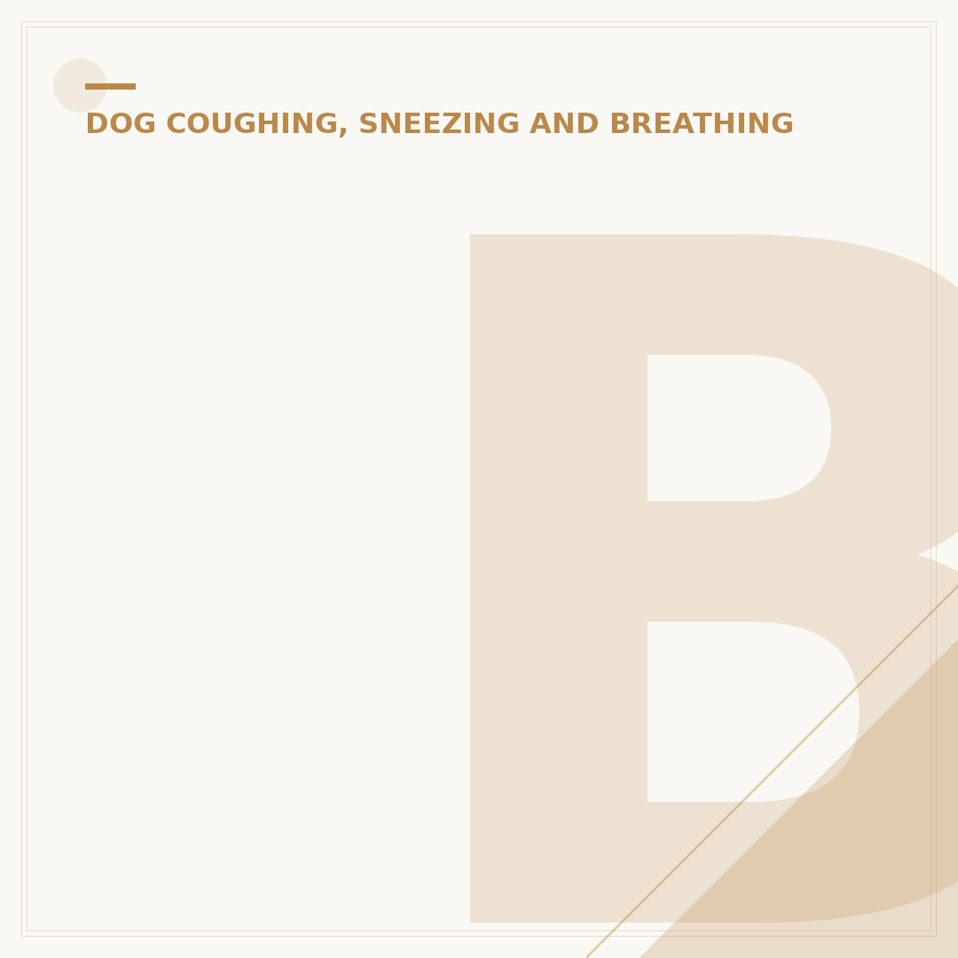 Breathing Issues in Dogs: Causes, Symptoms & Care