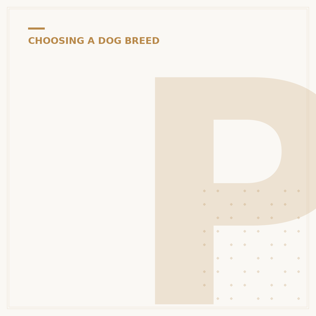 Popular Breeds of Dogs in America