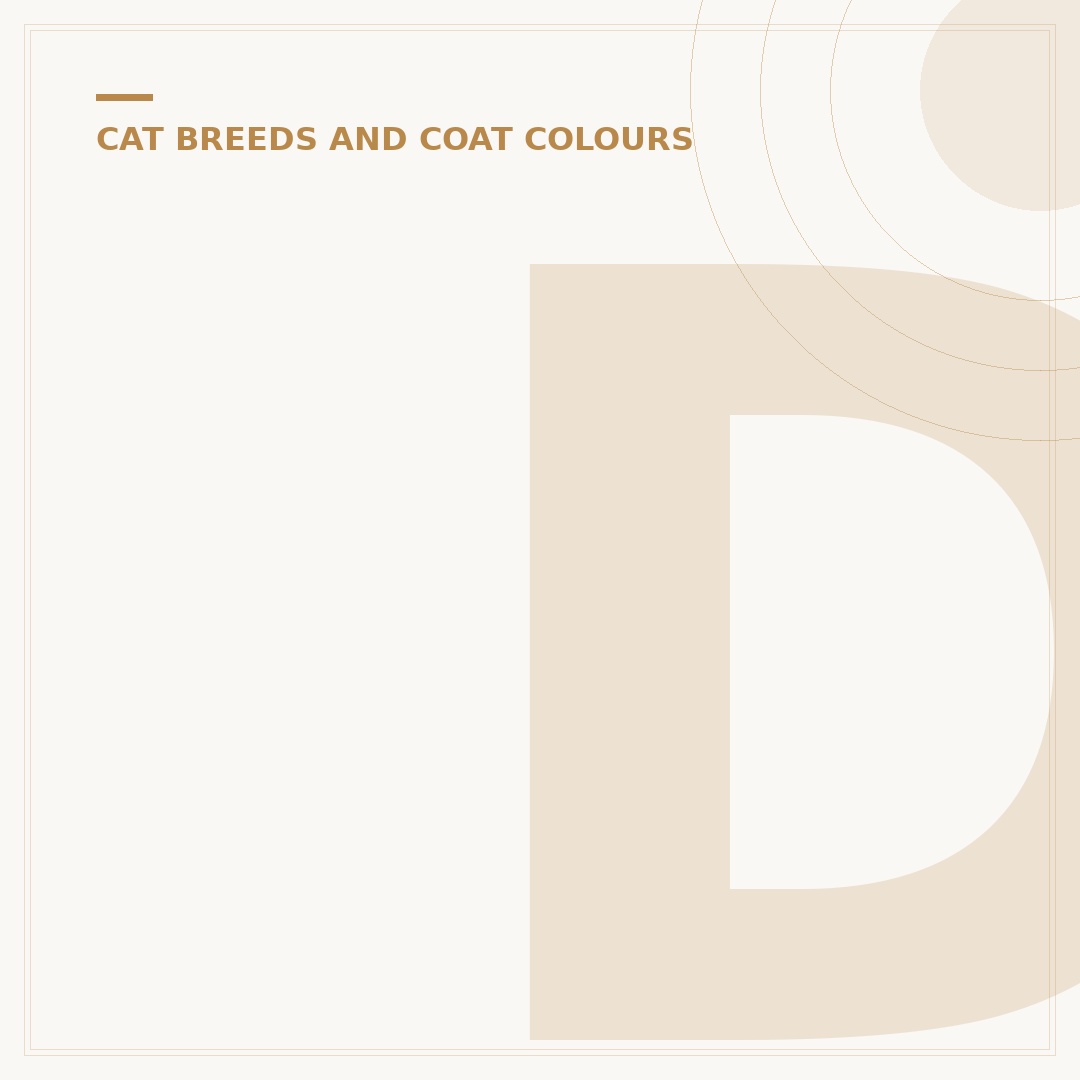 Do British Shorthair Cats Shed? Understanding Coat Care