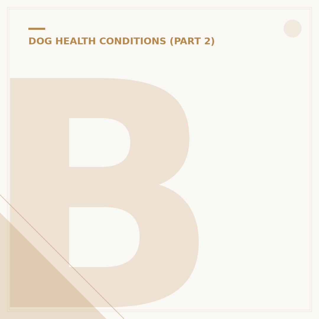 Bronchitis in Dogs: Signs, Causes & Care