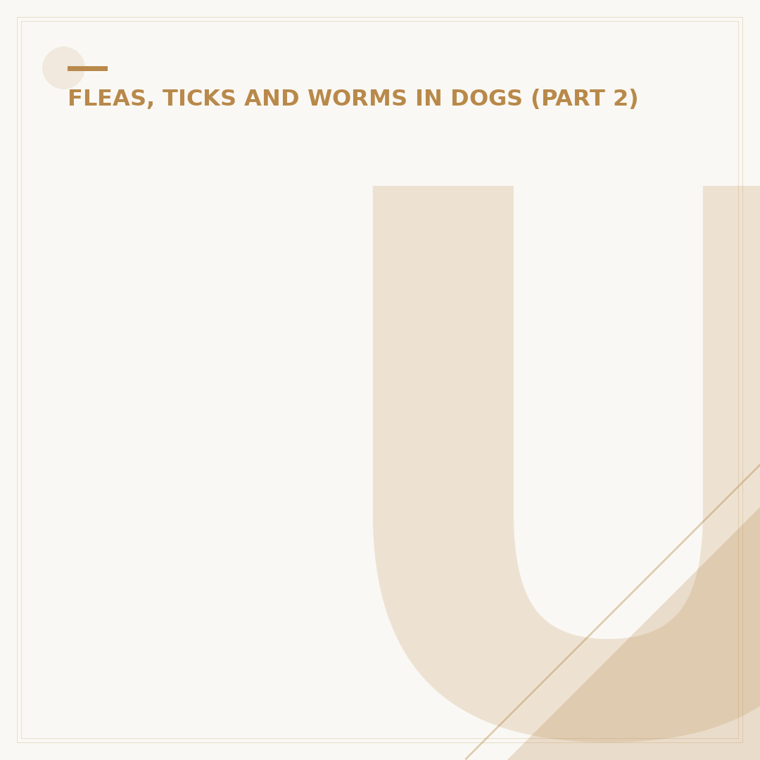 Understanding the Brown Dog Tick: Identification and Control