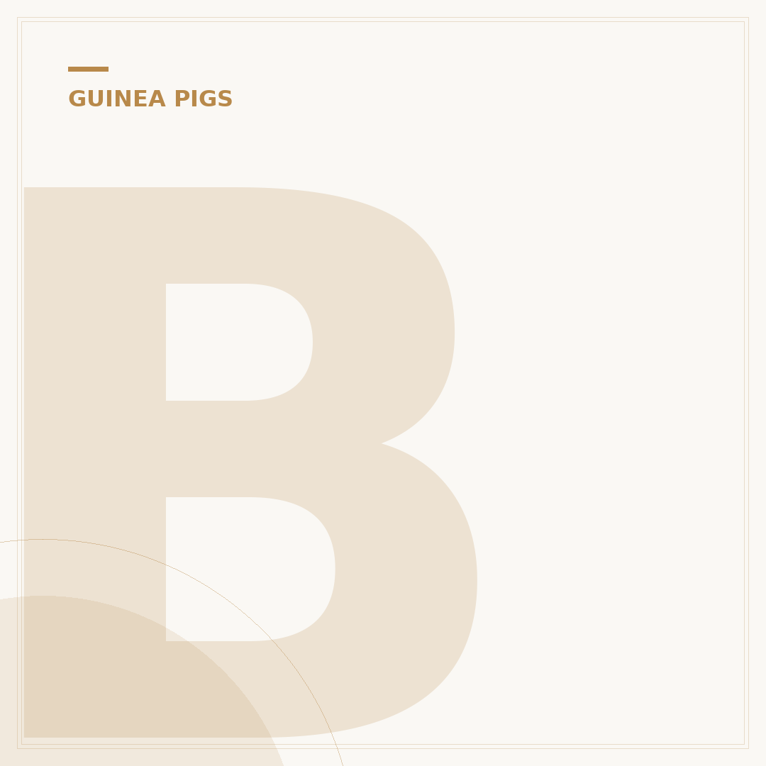 Brown Guinea Pigs: Care, Temperament & Facts