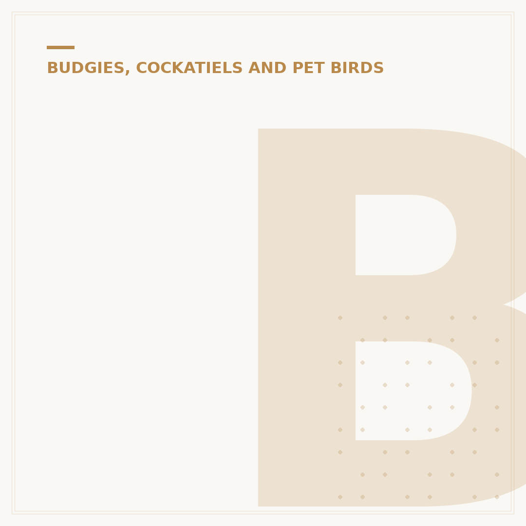 Budgie Sounds: Decoding Your Parakeet's Vocalisations