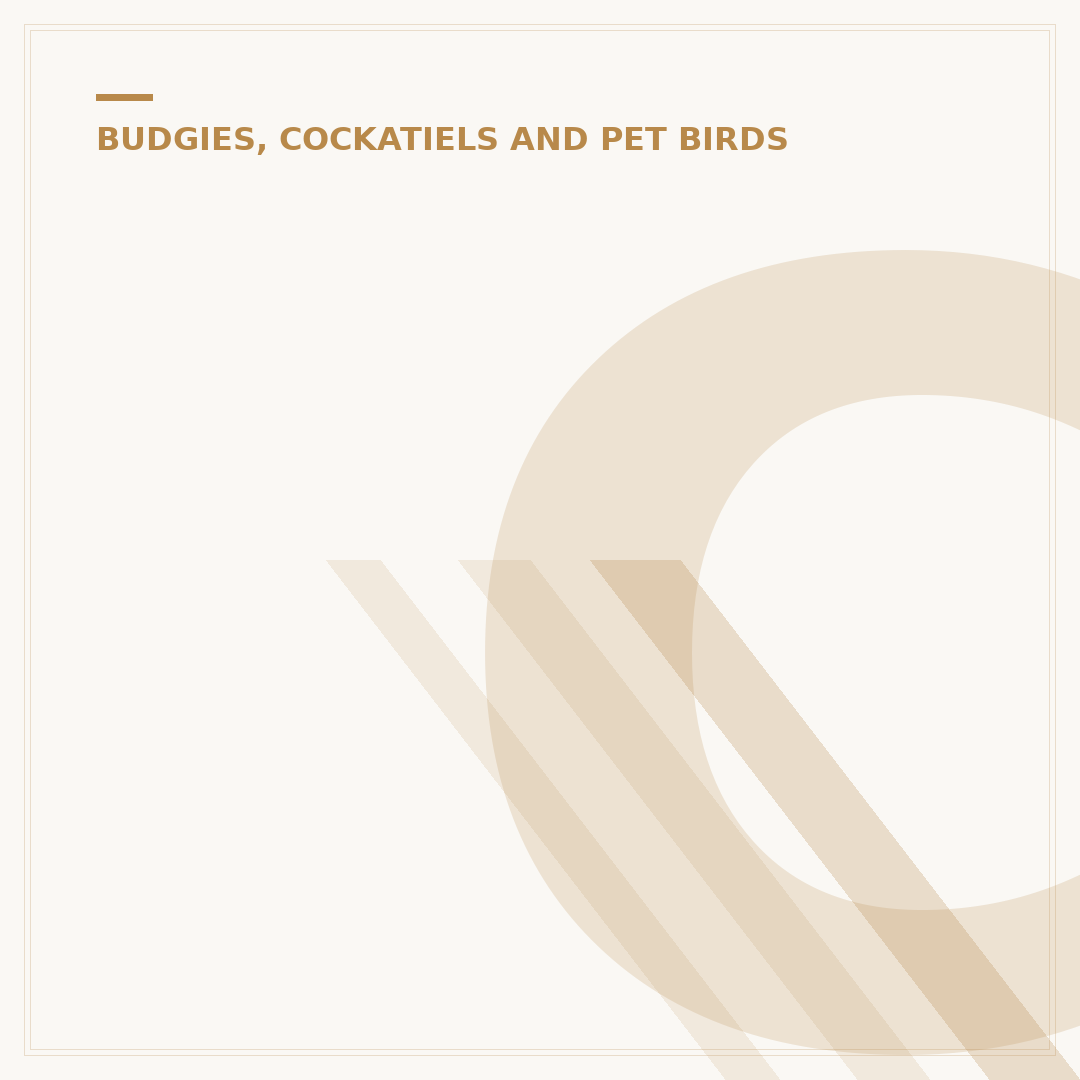Can Budgies Eat Strawberries Safely?