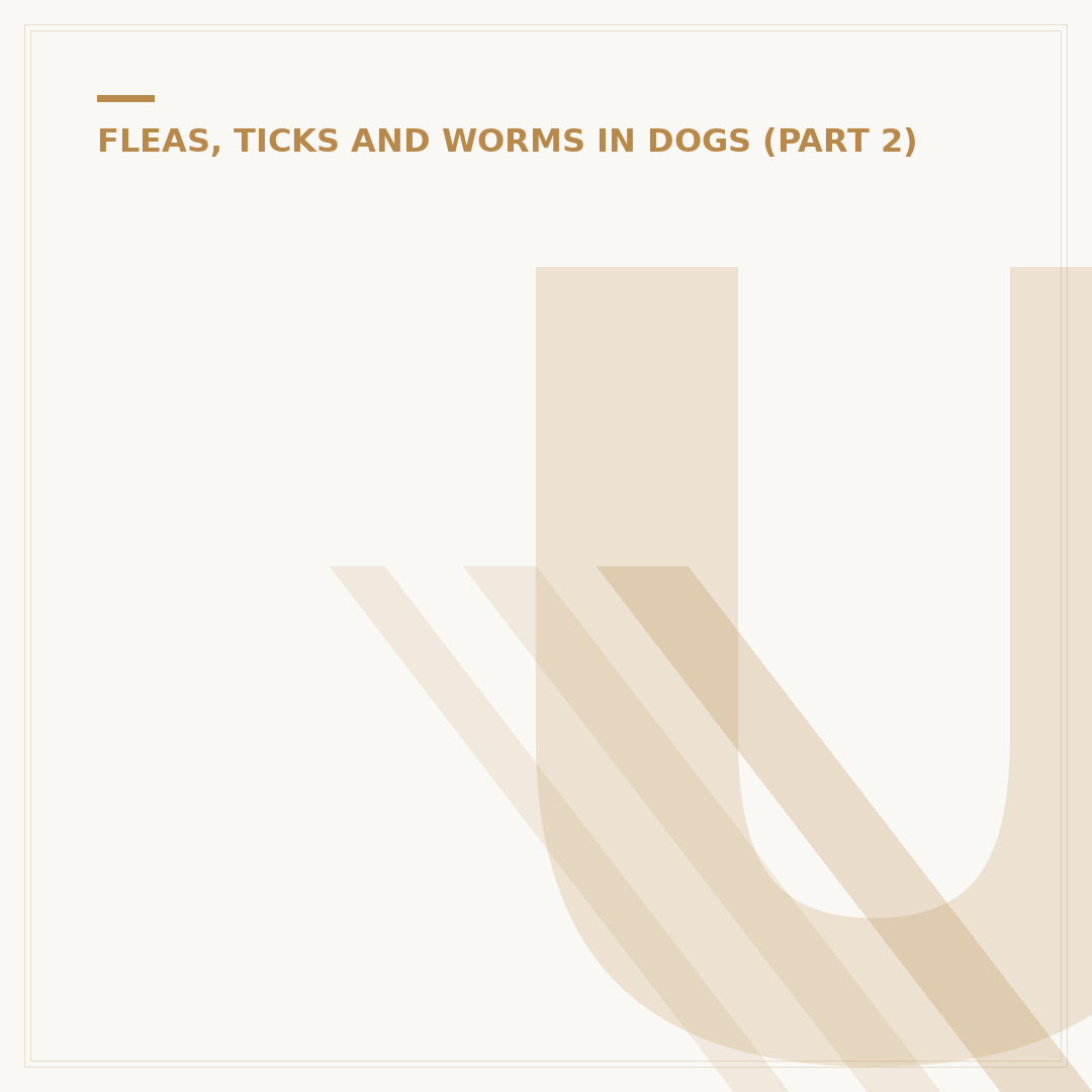 Understanding Bugs and Fleas in Your Home