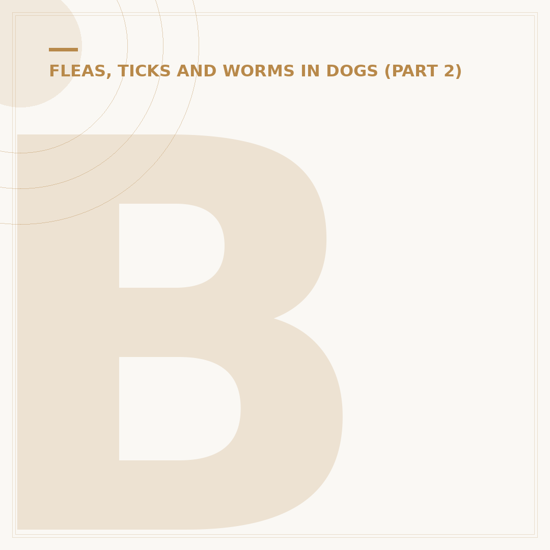 Bugs That Look Like Fleas: Identification and Control