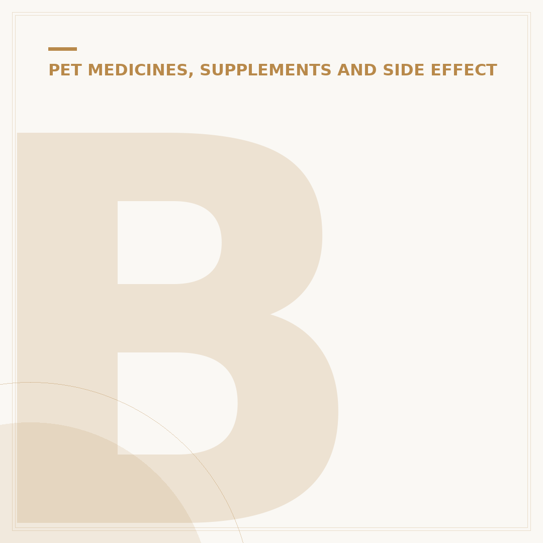 Buprenorphine for Cats: Feline Pain Relief