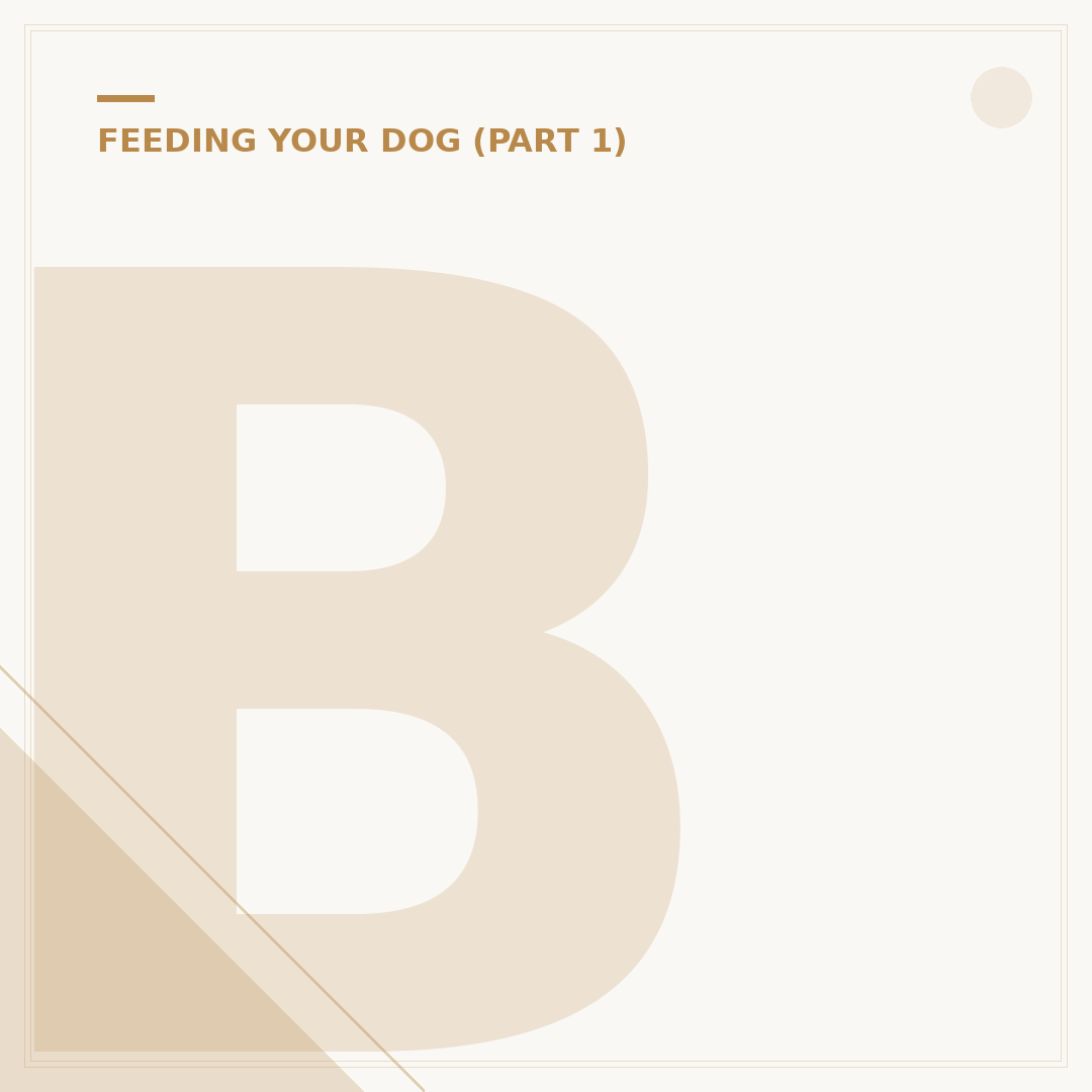 Butchers Dog Food: What Your Dog Needs