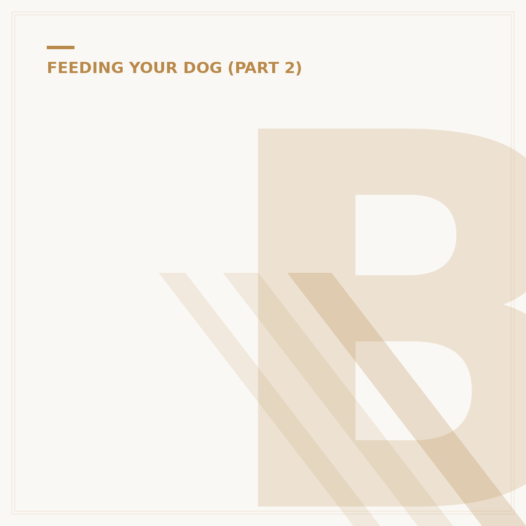 Butcher's Grain Free Dog Food: What You Need To Know