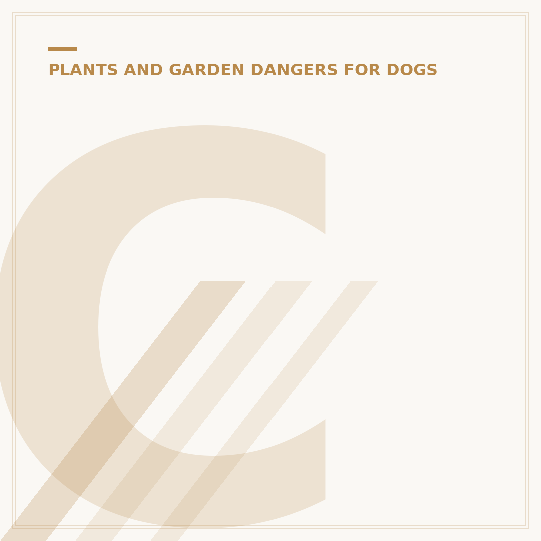 Can Dogs Eat Mint Sauce? Safety and Ingredients