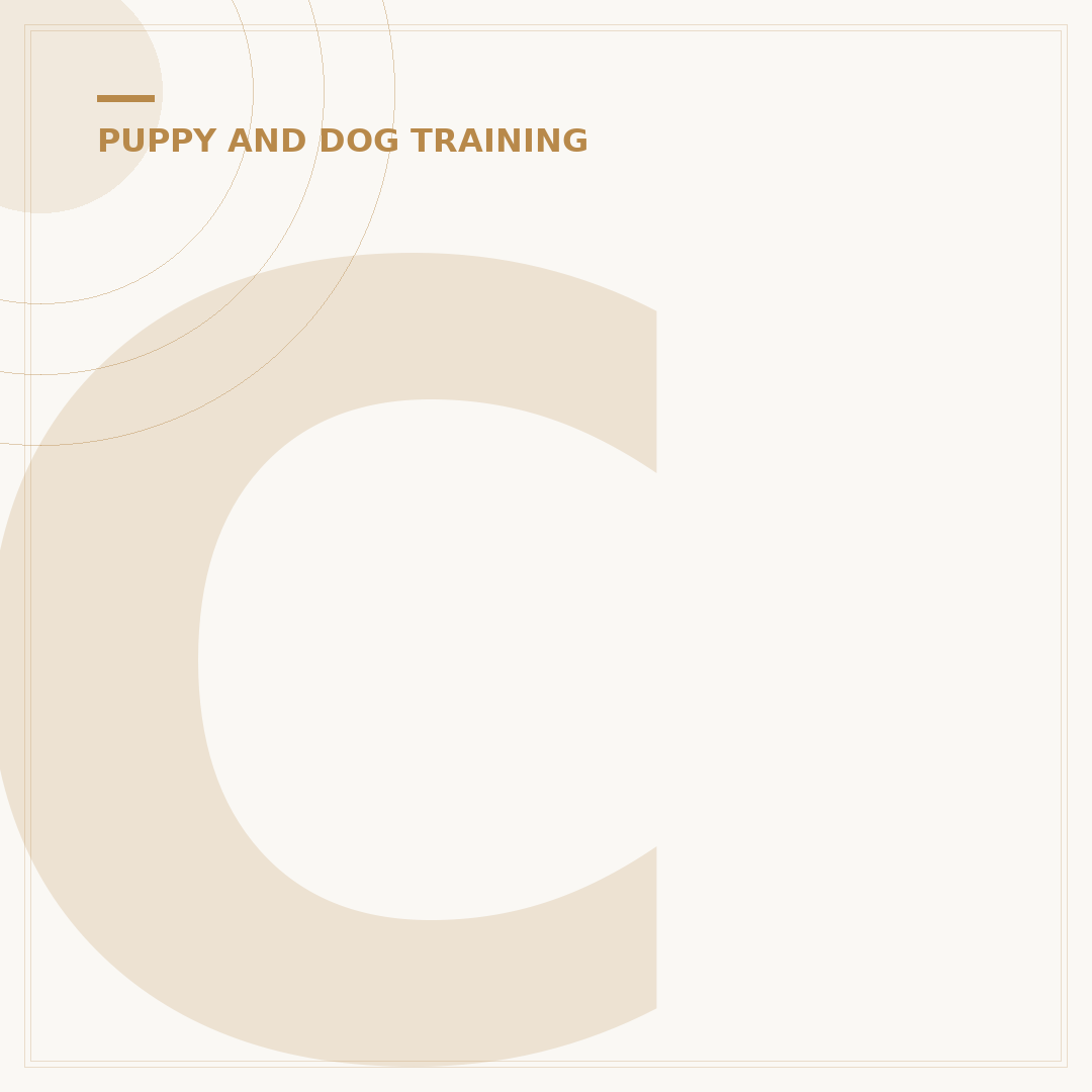 Can Dogs Sit in the Front Seat UK: Rules and Safety