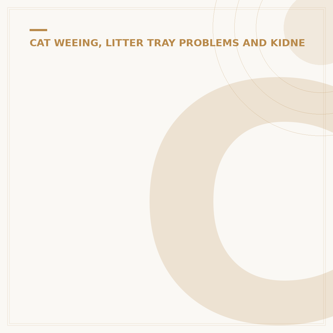 Carpet Cleaning Cat Pee: Remove Stains and Odour