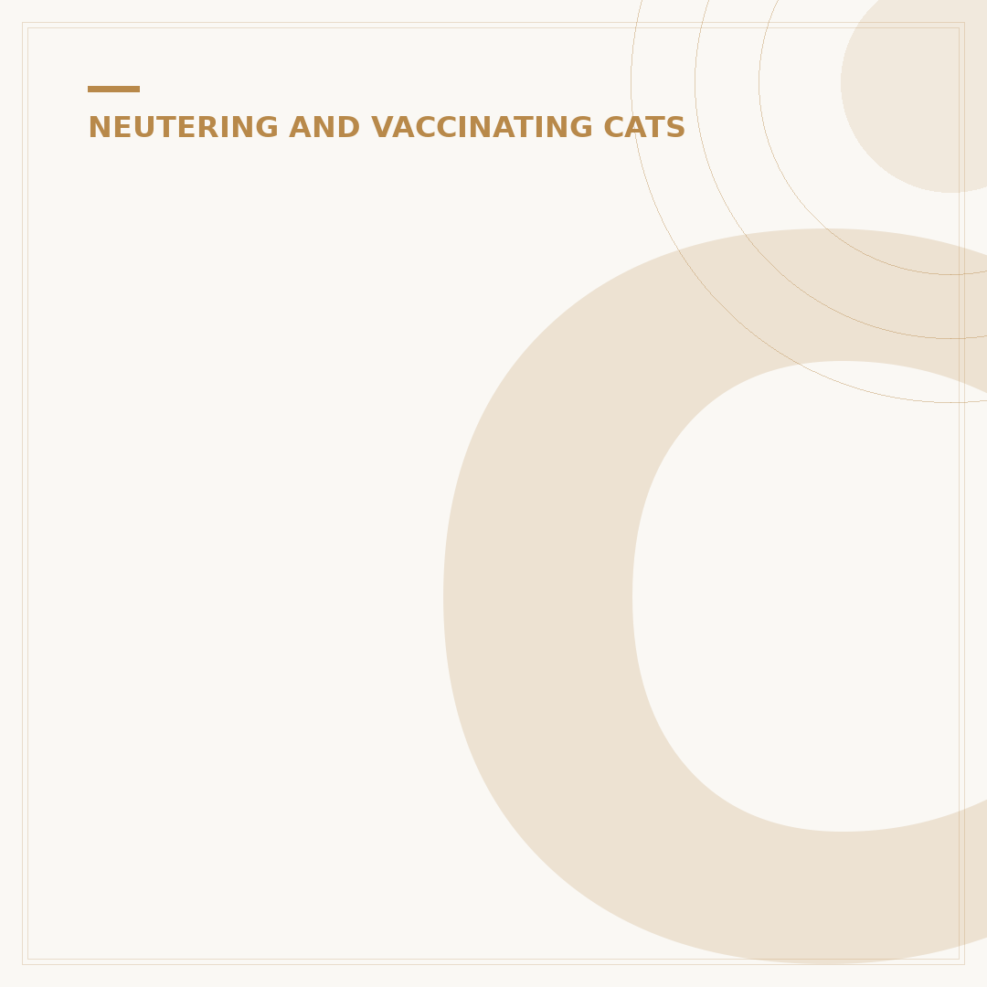 Cat Allergy Vaccine: What You Need to Know
