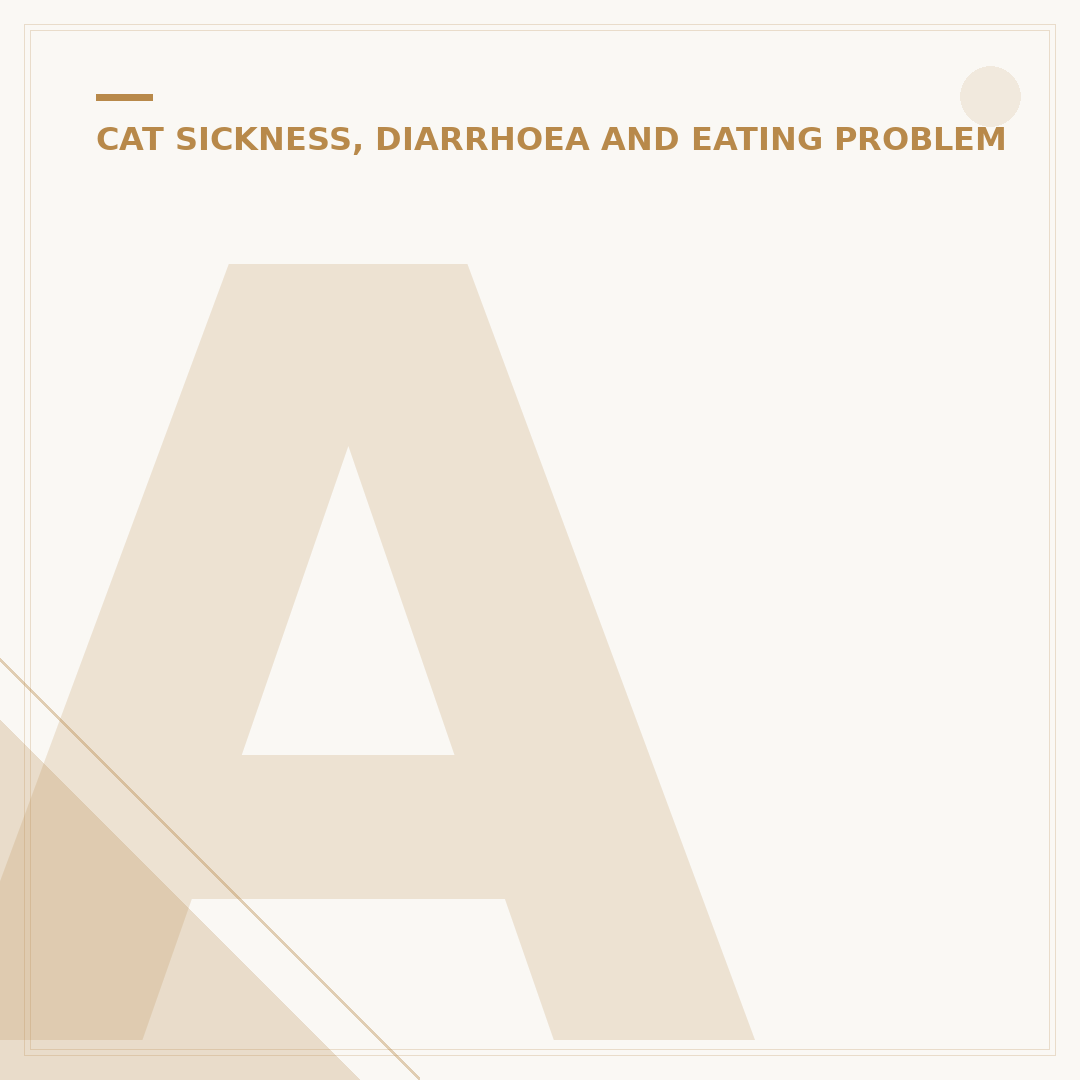 Anus Glands in Cats