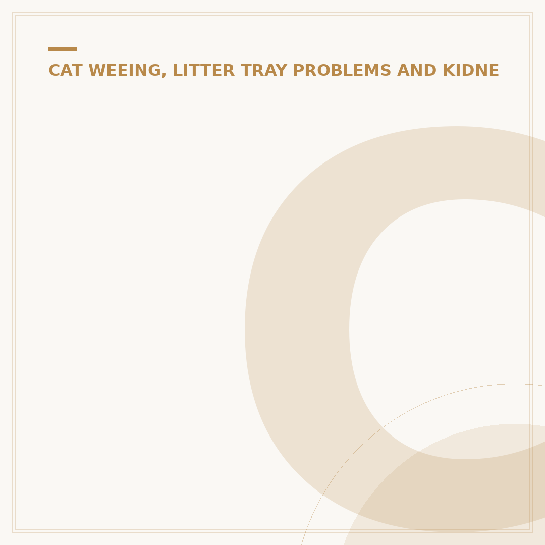 Cat Bladder Infection Signs: How to Tell If Your Cat Is Ill