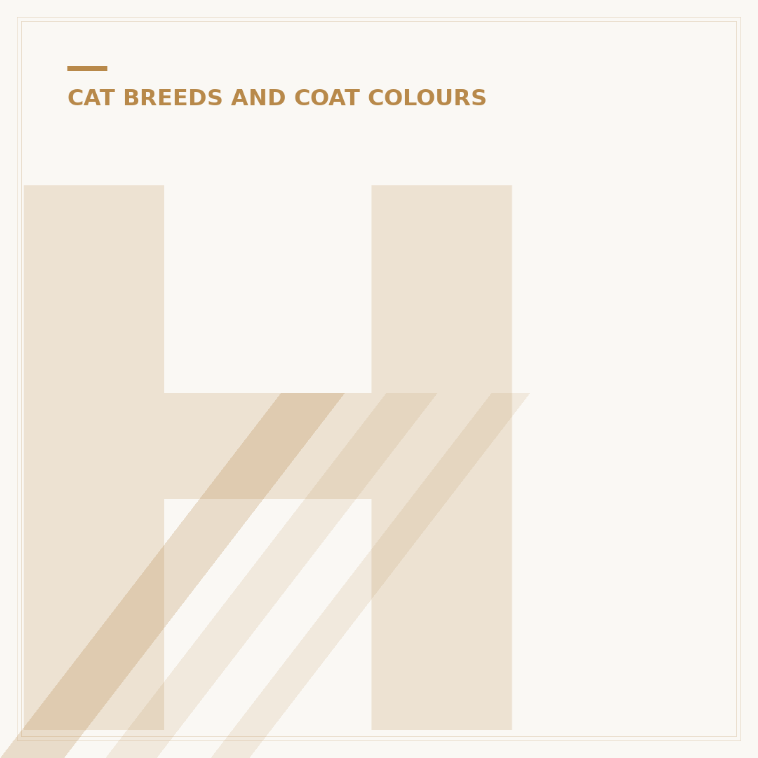 How Many Domestic Cat Breeds Are There?