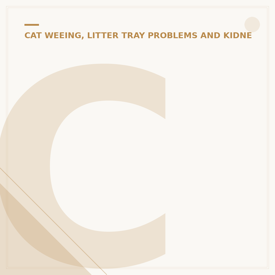 Cat Can't Pee: Causes, Symptoms & Urgent Action