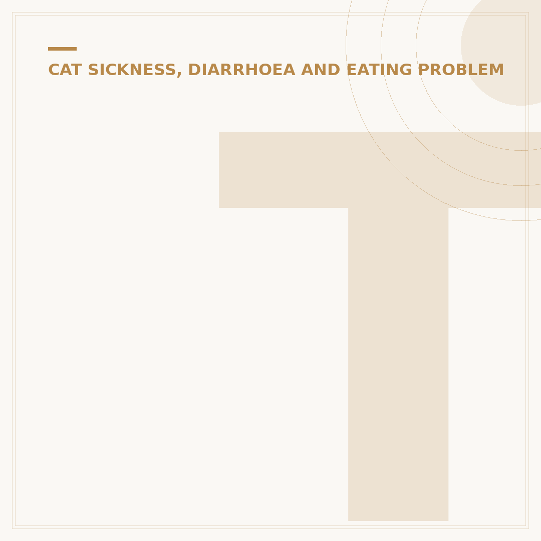 Treatment for a Constipated Cat