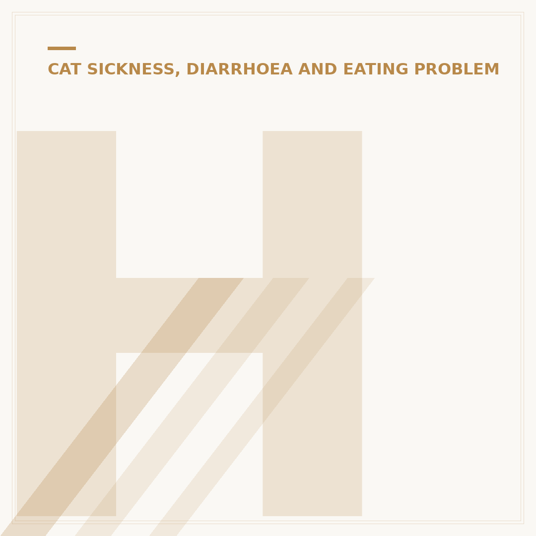 How to Cure Cat Diarrhea: Vet-Approved Home Care