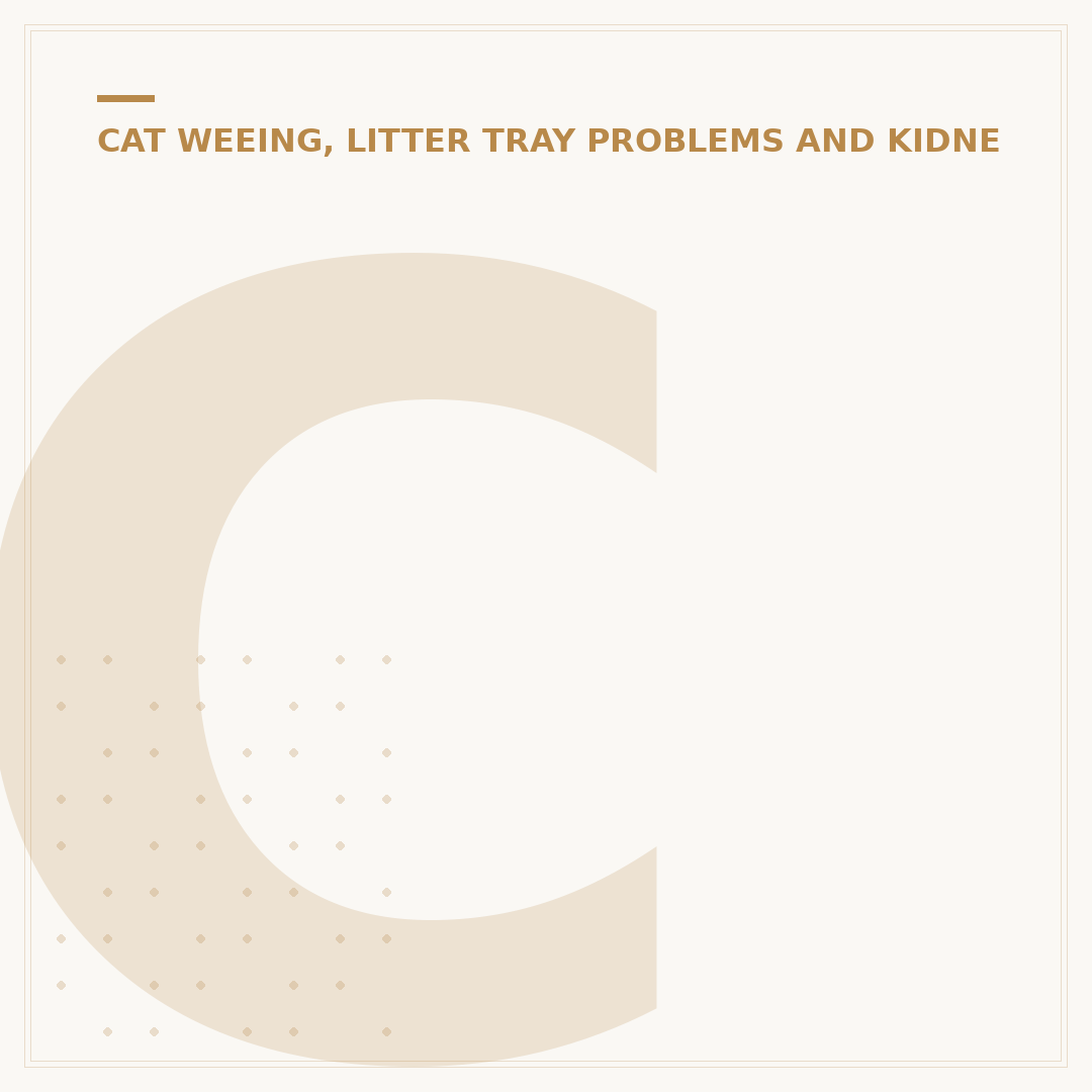 Cat Drinking a Lot of Water and Meowing: Causes & Actions