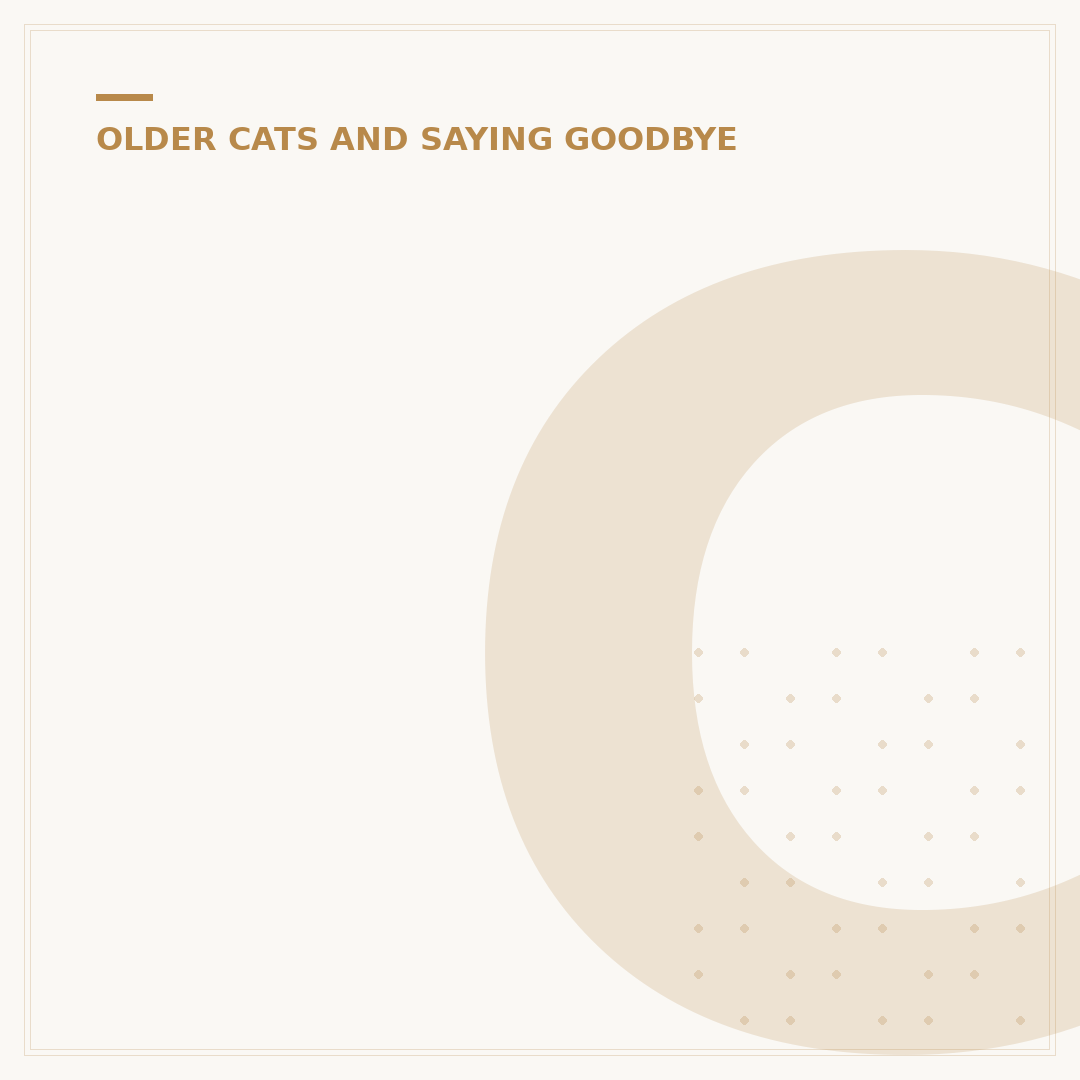 Cat Drooling Before Death: Signs and What to Do