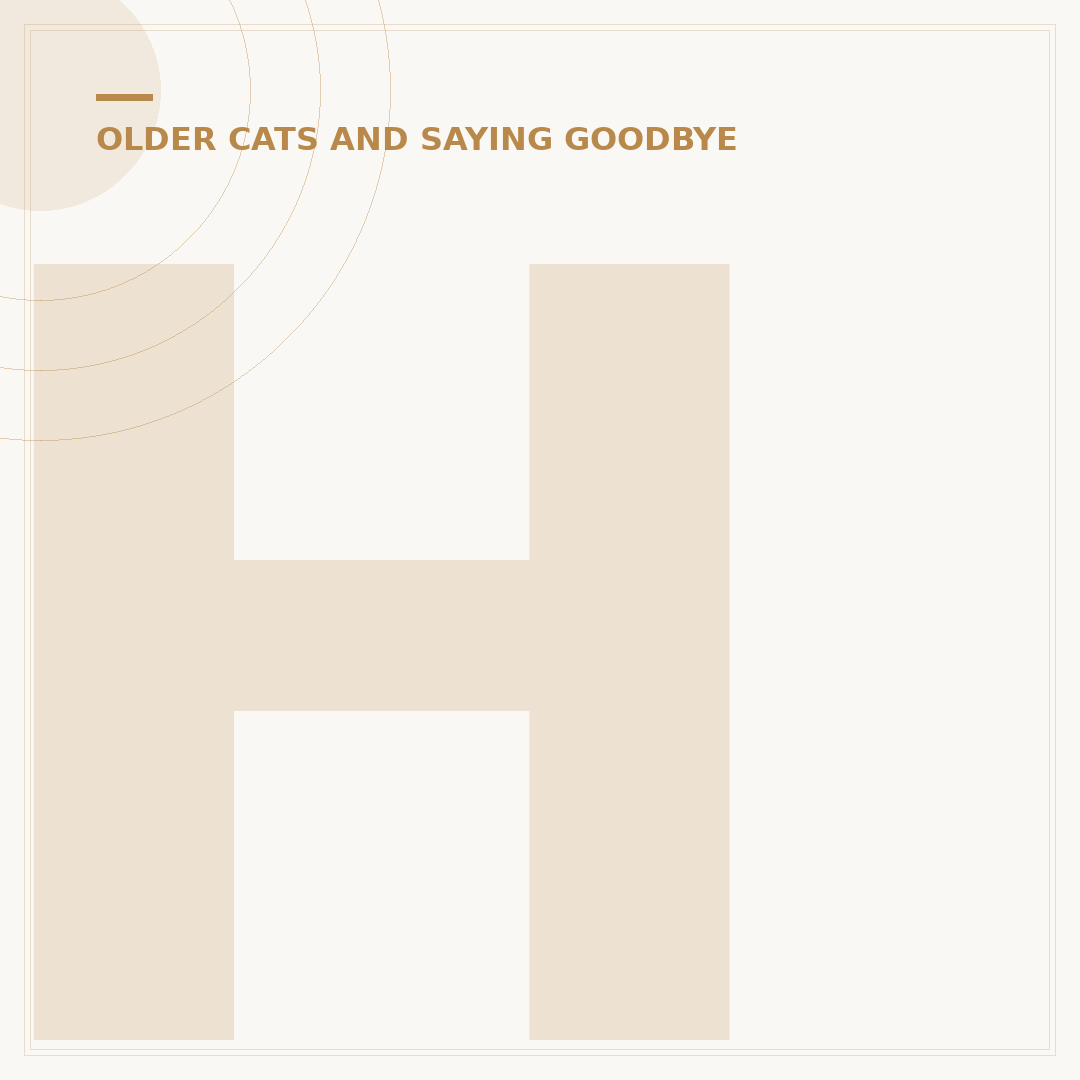 How Do I Know if My Cat Is Dying?