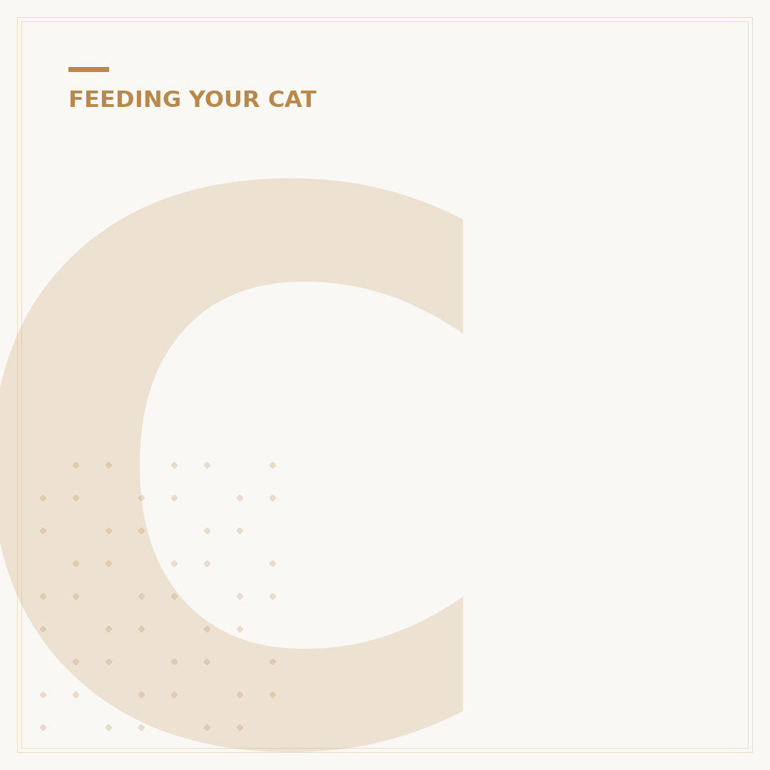 Cat Fish Tank: What You Need to Know