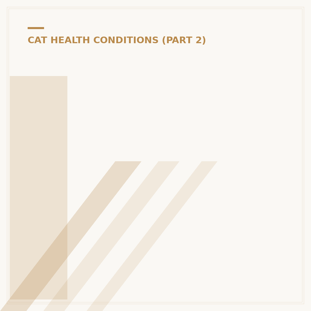 Is Cat Flu Contagious To Humans?