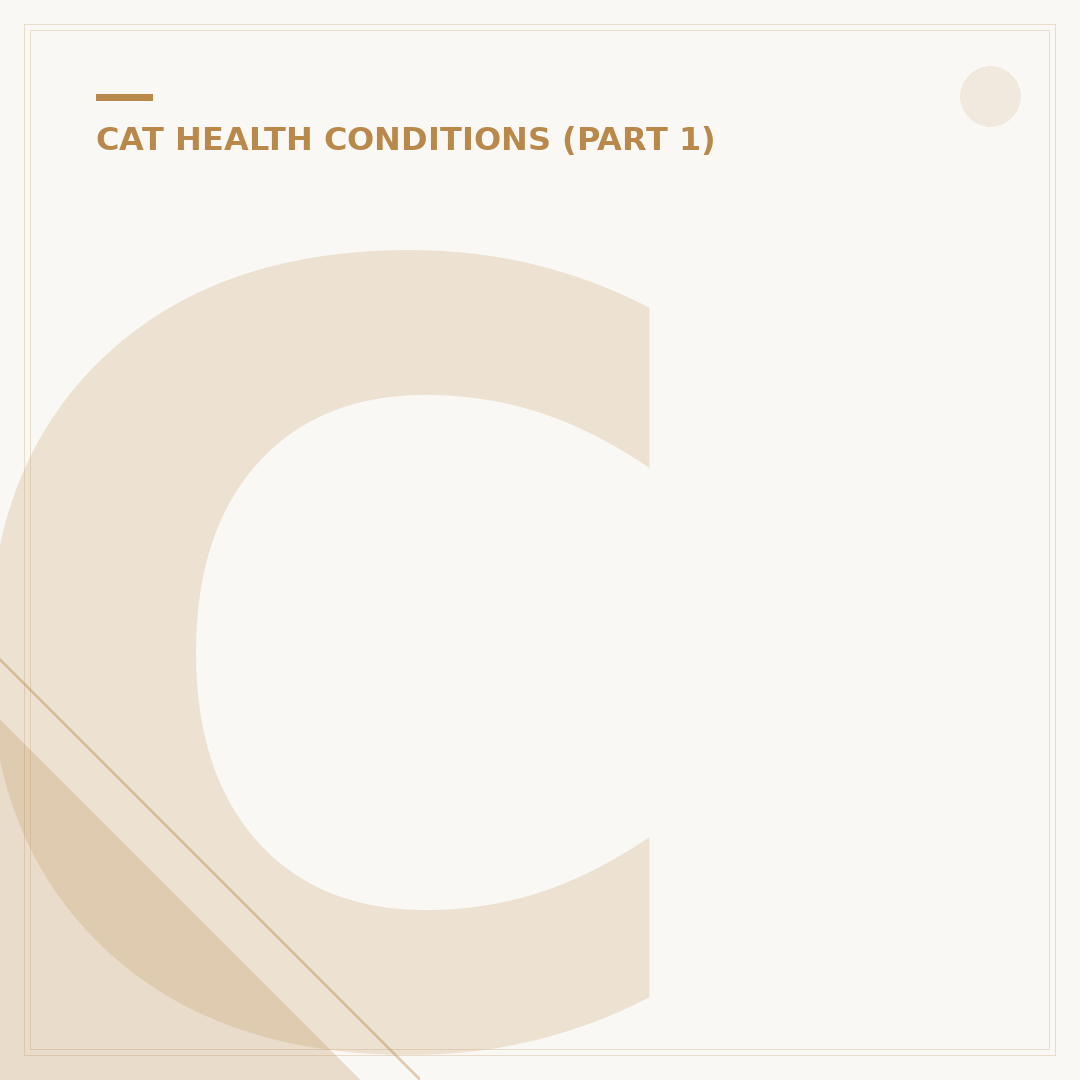 Cat Flu Symptoms in Cats: What to Watch For