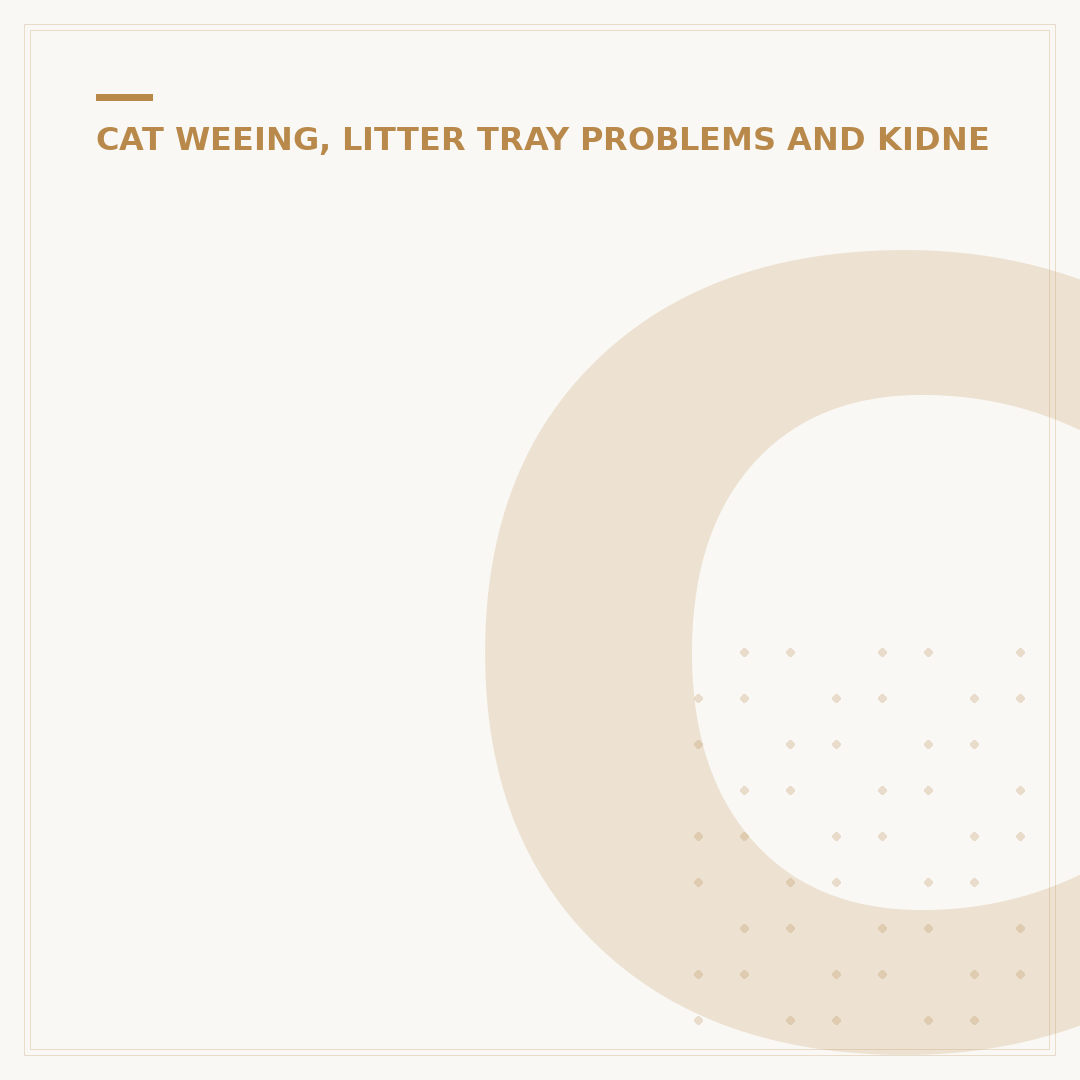 Cat Food for Cystitis: Helping Your Feline Friend