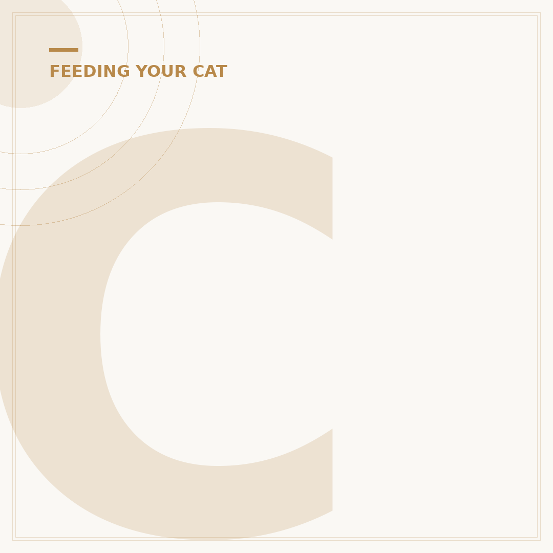 Cat Food for Fussy Cats: What to Feed Picky Felines