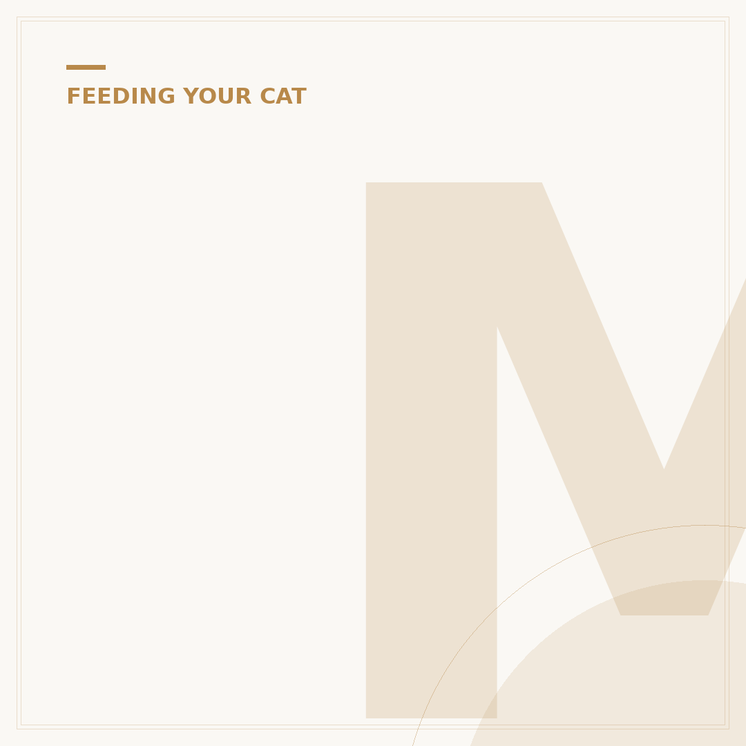 Mature Cat Food: Nutritional Needs Explained