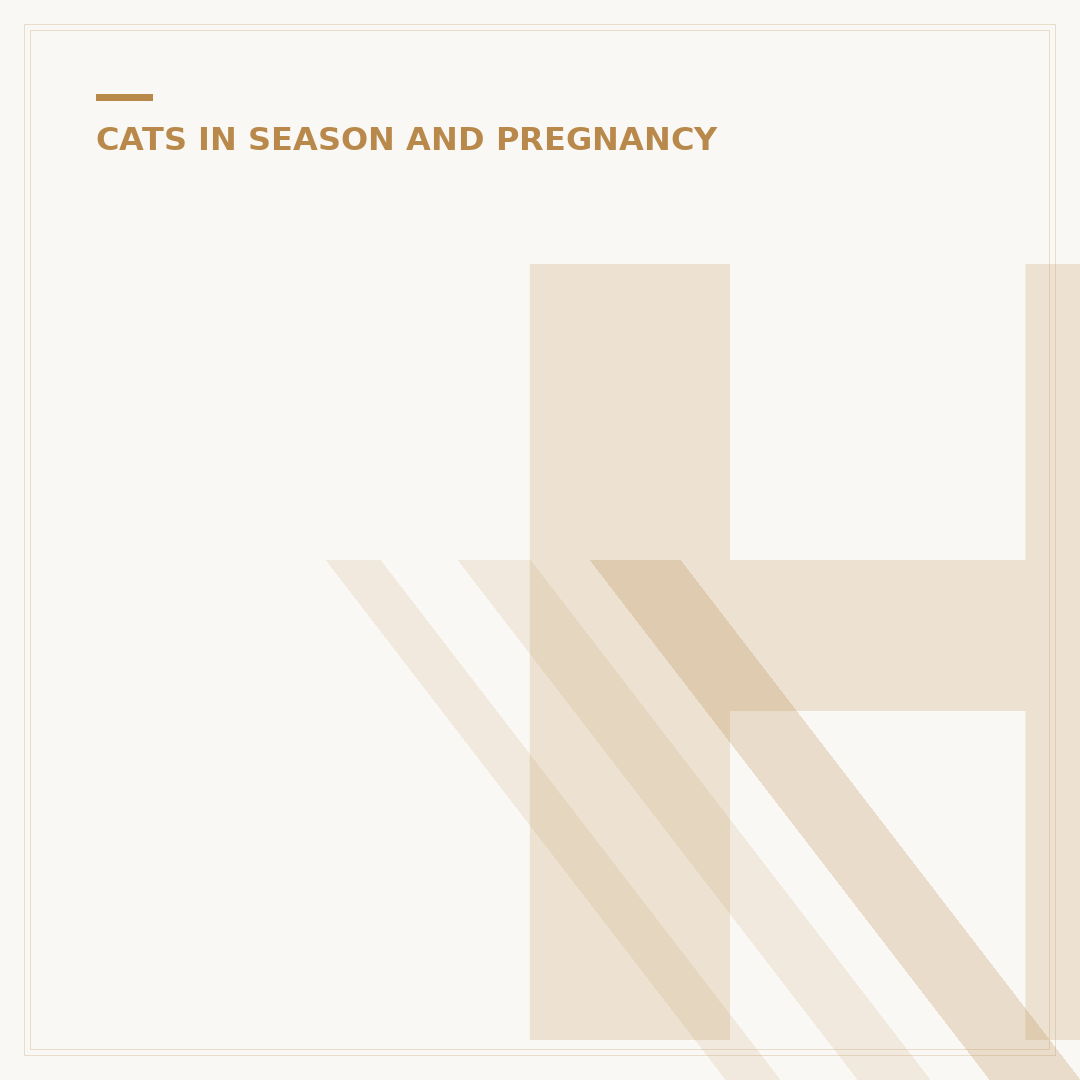 How Long Do House Cats Stay In Heat? Duration & Signs
