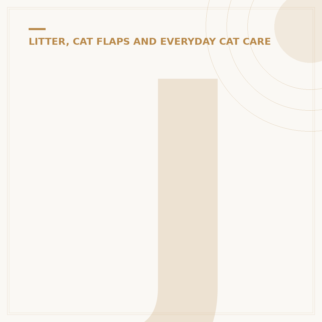 Jumpers for Cats