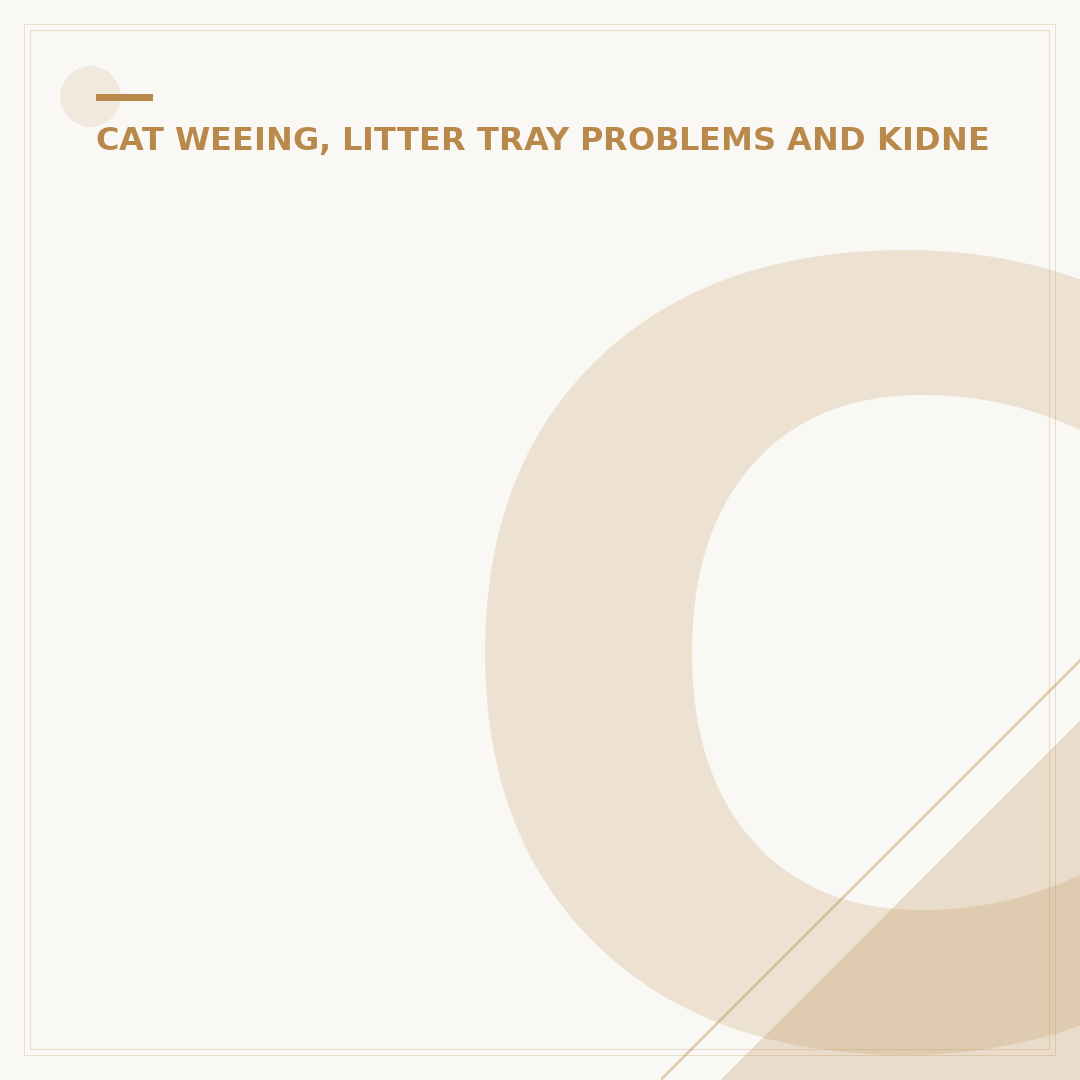 Cat Litter Box Crystals Explained