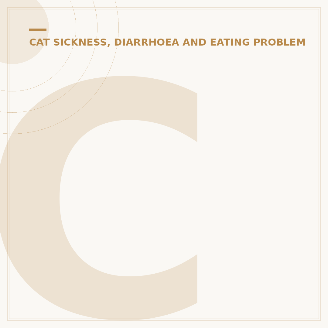 Cat Not Eating: Potential Causes and What To Do
